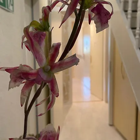 Vital Hotel