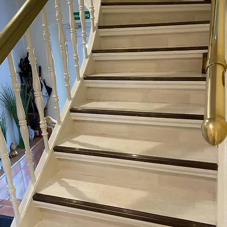 Vital מונסטר אים היידקרייס